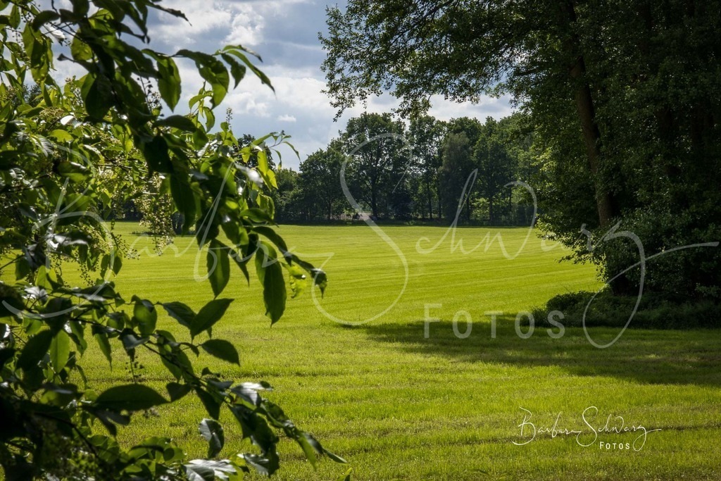 Ziel_2026-05-30_16 | Fotografie, Veranstaltungs-Fotografie, Pferde-Fotografie, Landschafts-Fotografie, Reise-Fotografie - Realisiert mit Pictrs.com