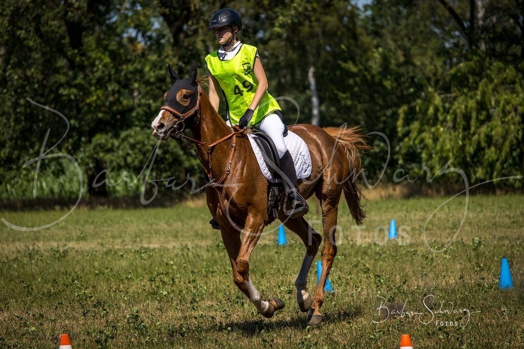 CJP_2026-06-26_68 | Stimmungsvolle Fotografie von Pferden, fotografische Begleitung von Veranstaltungen, Golfturnieren und Distanzritten - Realisiert mit Pictrs.com