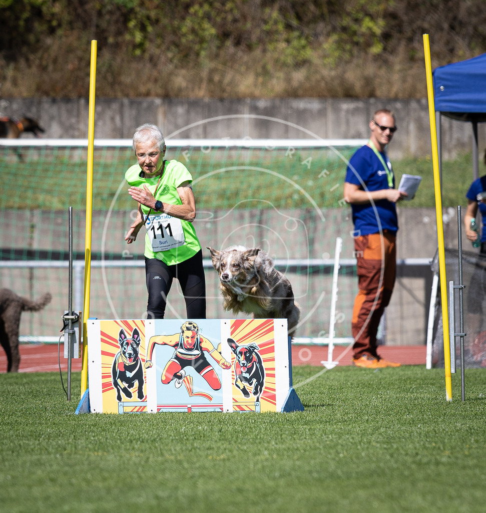 Pfotenfotografie_DV3A8274 | Hundefotografie, Tierfotograf, Pfotenfotografie, Fotoshooting Hund, Hunde Portrait, Hundesport, Hundeportraits, Heideshooting, Hunde, Sportfotograf, Hundefotograf, Turnierhundsport, THS,  - Realisiert mit Pictrs.com