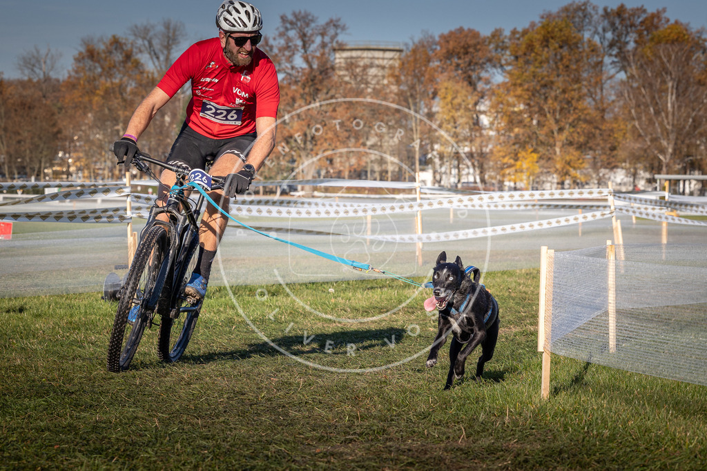 CaniXpix_0L8A4671 | Hundefotografie, Tierfotograf, Pfotenfotografie, Fotoshooting Hund, Hunde Portrait, Hundesport, Hundeportraits, Heideshooting, Hunde, Sportfotograf, Hundefotograf, Turnierhundsport, THS,  - Realisiert mit Pictrs.com
