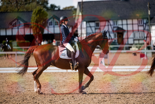 2026_10_03_Siefer-Hof_132759_Z63_87561012 | Professionelle Reitsport-, Turnier- und Eventfotografie von Robert Broda. Galerien mit ausgewählten und bearbeiteten Bildern direkt online ansehen und bestellen.