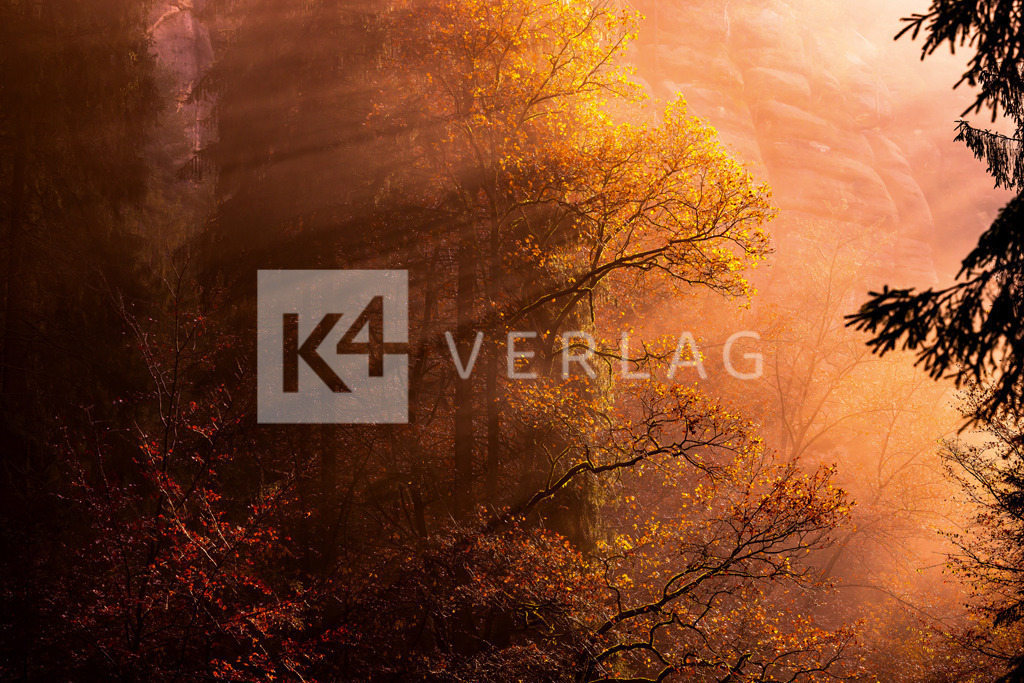 Wandbild-Polenztal-Herbst-0U3A8779 | Mystische Stimmung im Polenztal, Lichtspiele in der Sächsischen Schweiz im Elbsandsteingebirge - Realisiert mit Pictrs.com