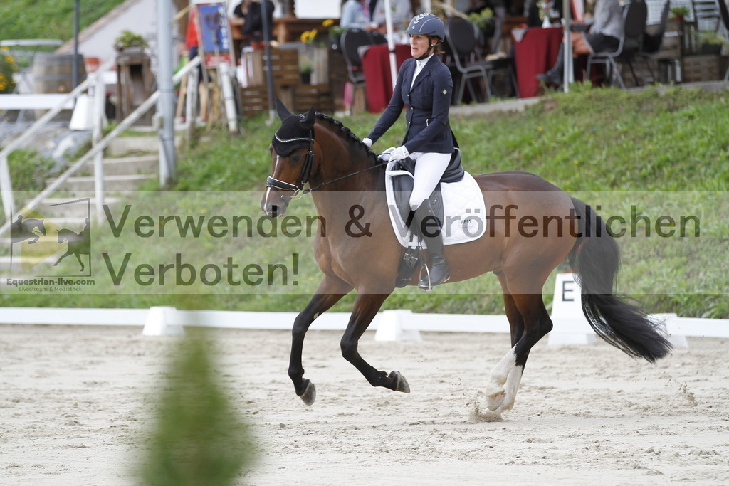 _MG_4277 | equestrian-live-com