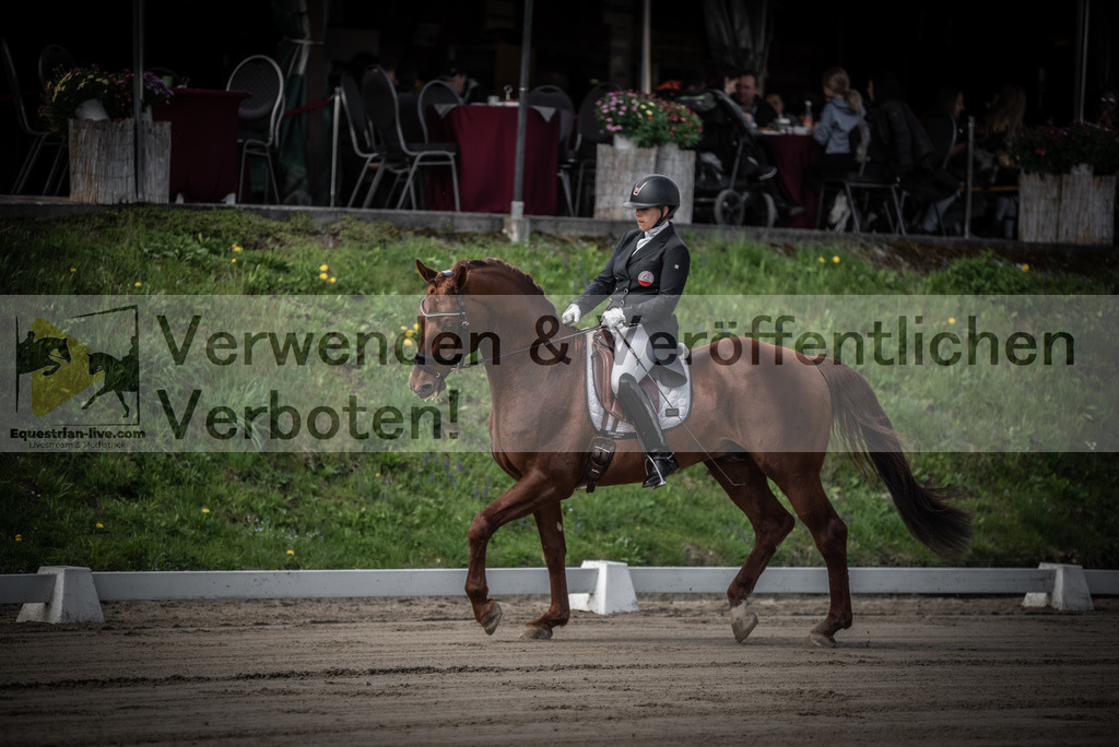 DSC_1411 | equestrian-live-com