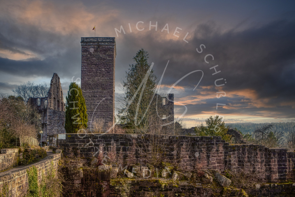 2021-02-24 Zavelstein Burg Krokus-9 | Burg Zavelstein - Realisiert mit Pictrs.com