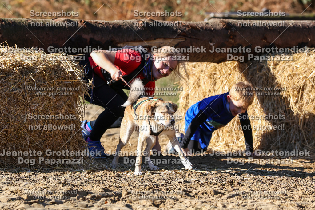 Dog Paparazzi - Strongdog 10-25-2311 | Dog Paparazzi Jeanette Grottendiek Fotografie & Videografie - Realisiert mit Pictrs.com