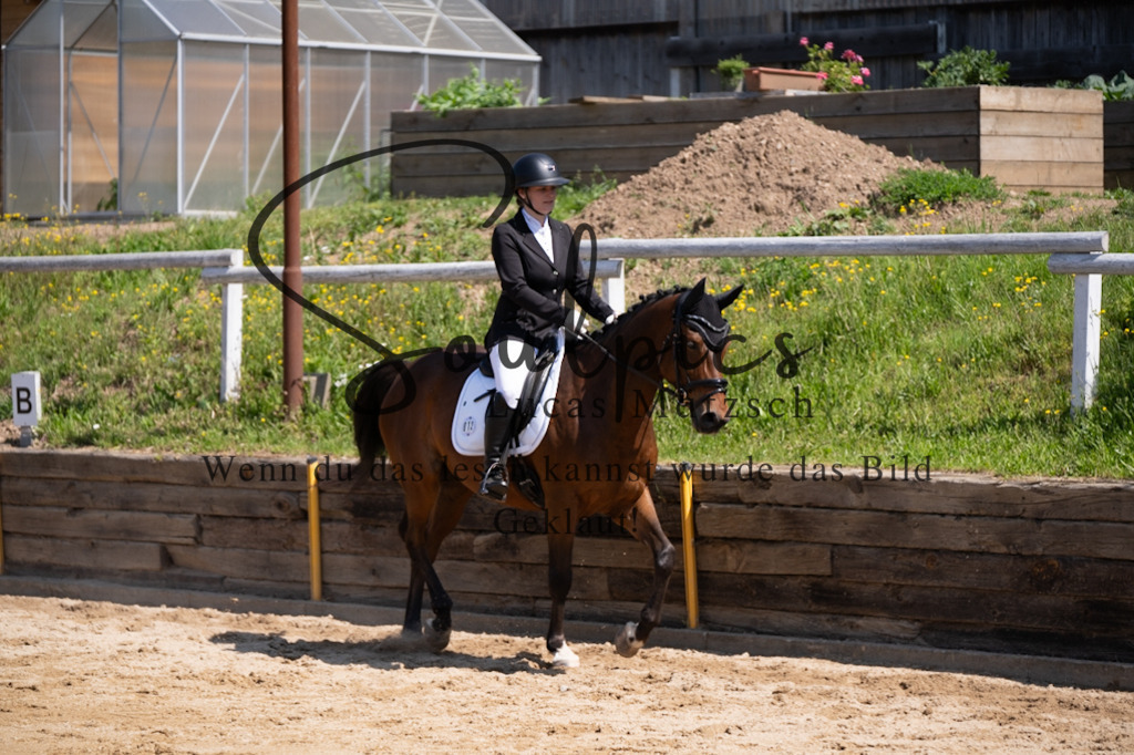 A7V07954 | Pferdefotograf