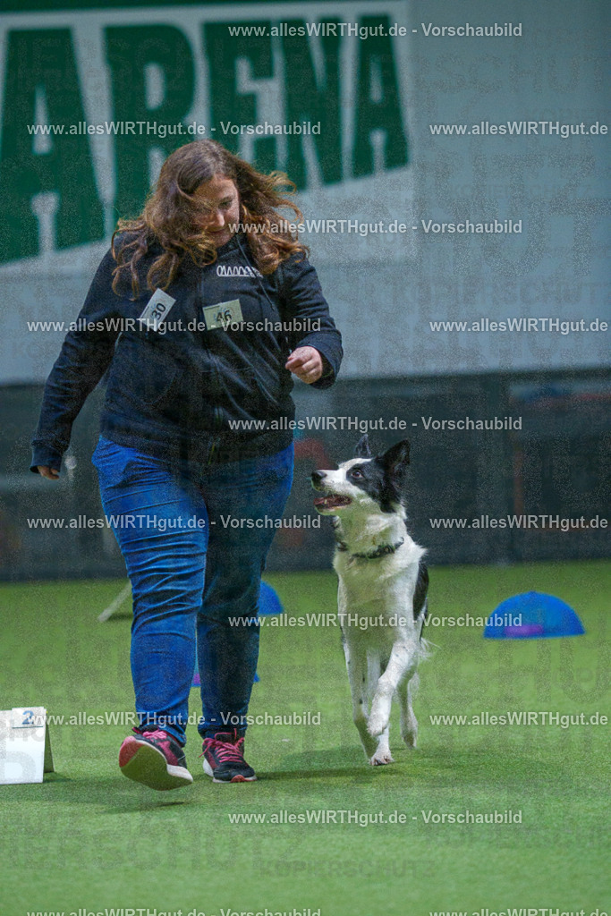 7R501386 | Professionelle Tierfotografie in Mönchengladbach von Daniel Wirth (allesWIRTHgut). Liebevolle & natürliche Bilder von Hunden & Katzen für unvergessliche Erinnerungen.