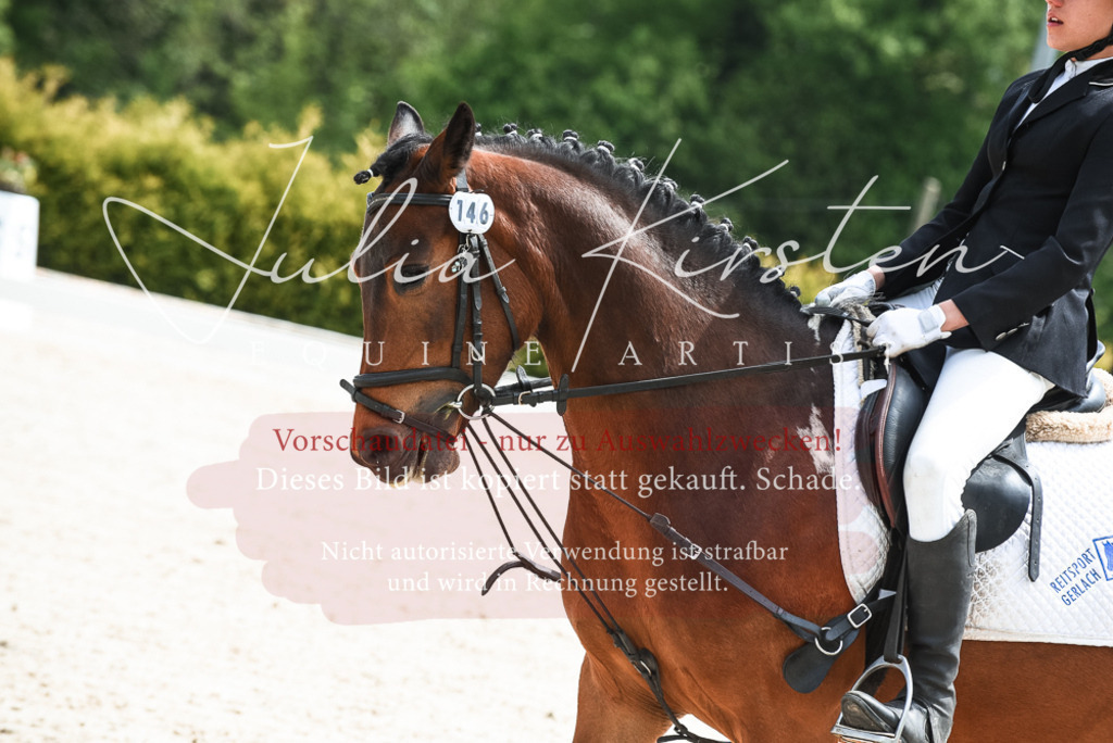 20230518_JK-Röhrsdorf-11-0137 | Pferde- und Turnierfotografie in Westsachsen. Pferdeportraits, Auftragszeichnungen und intuitive Kunst.