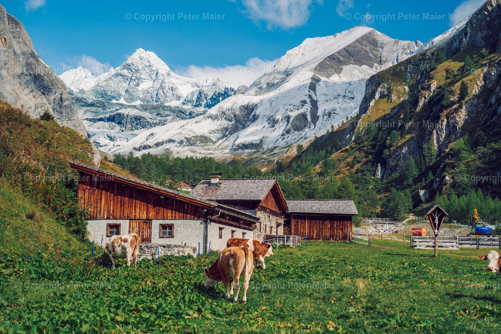 Kals_Herbst-321 | piet_flosse