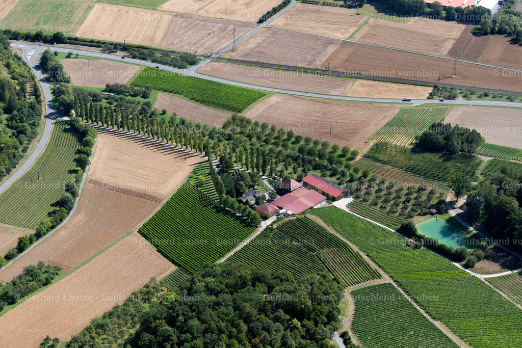 3902357 | Weingut Benz, Lauda-Königshofen