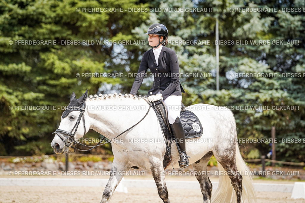 DSC03585 | Pferdegrafie