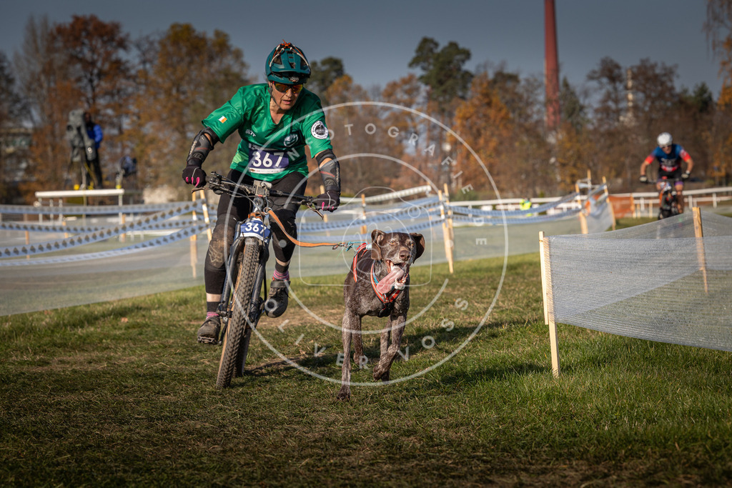 CaniXpix_0L8A7738 | Hundefotografie, Tierfotograf, Pfotenfotografie, Fotoshooting Hund, Hunde Portrait, Hundesport, Hundeportraits, Heideshooting, Hunde, Sportfotograf, Hundefotograf, Turnierhundsport, THS,  - Realisiert mit Pictrs.com