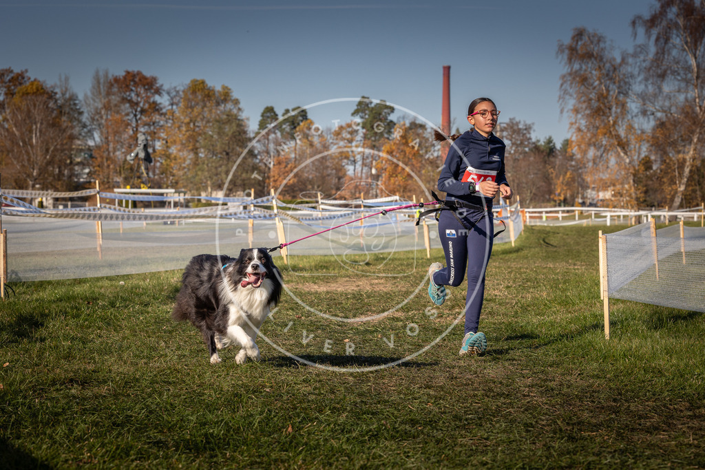 CaniXpix_0L8A7952 | Hundefotografie, Tierfotograf, Pfotenfotografie, Fotoshooting Hund, Hunde Portrait, Hundesport, Hundeportraits, Heideshooting, Hunde, Sportfotograf, Hundefotograf, Turnierhundsport, THS,  - Realisiert mit Pictrs.com