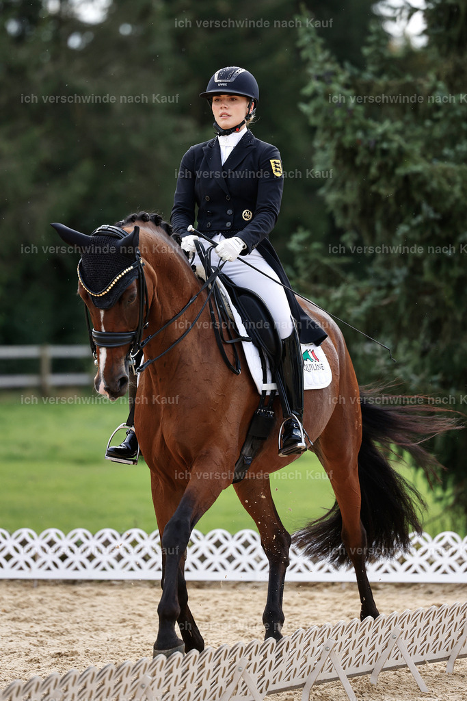 11-003-Dressur S___-StoibPH-1063 | working equitationturnier fotograf videograf stoibphotography marixx film working equitation deutschland reitsport turnierfotografie eventfotografie equestrian events
