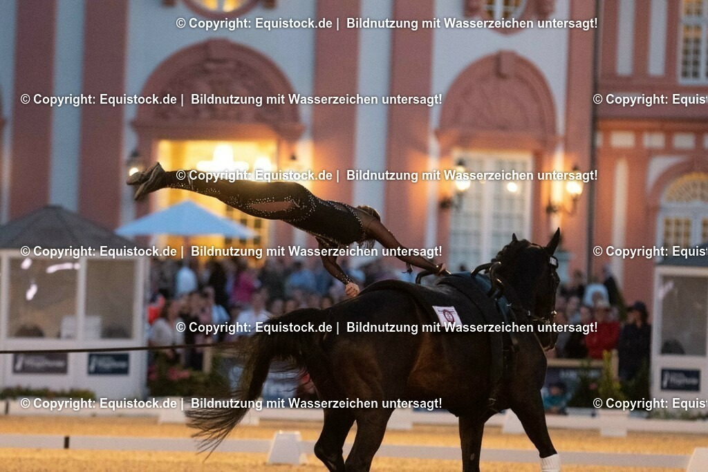 20230527_Voltigieren_NASPA_Flutlicht_0598 | equistock