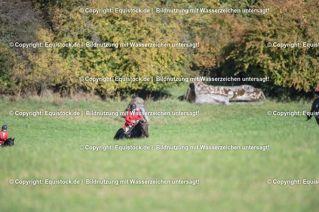 20251011_Jagd-Marbach_0398 | Foto: Thomas Hartig