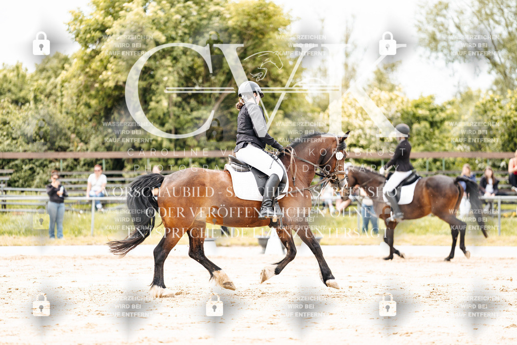 CK902845 | Turnierfotografie Pferdefotografie Trier Rheinland-Pfalz Pferdesport Reitsport Tierfotografie Sportfotografie Pferdevideo Pferdevideografie Equestrianvideography equestrianphotography  - Realisiert mit Pictrs.com