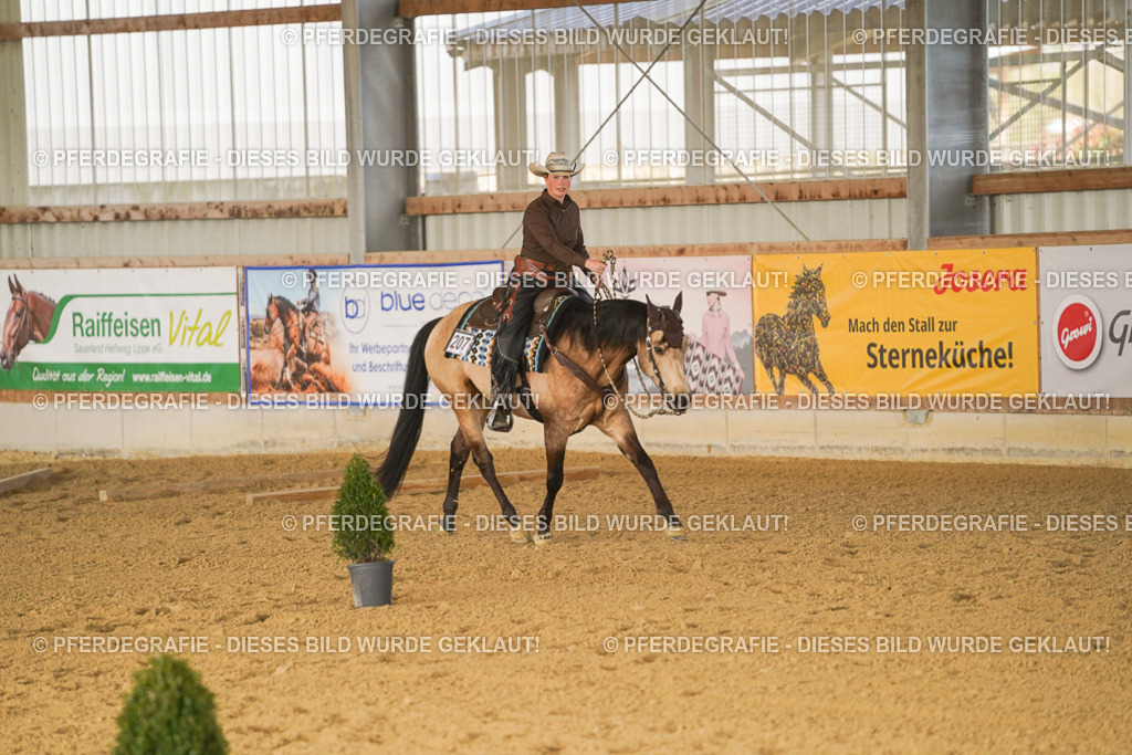 DSC01857 | Pferdegrafie