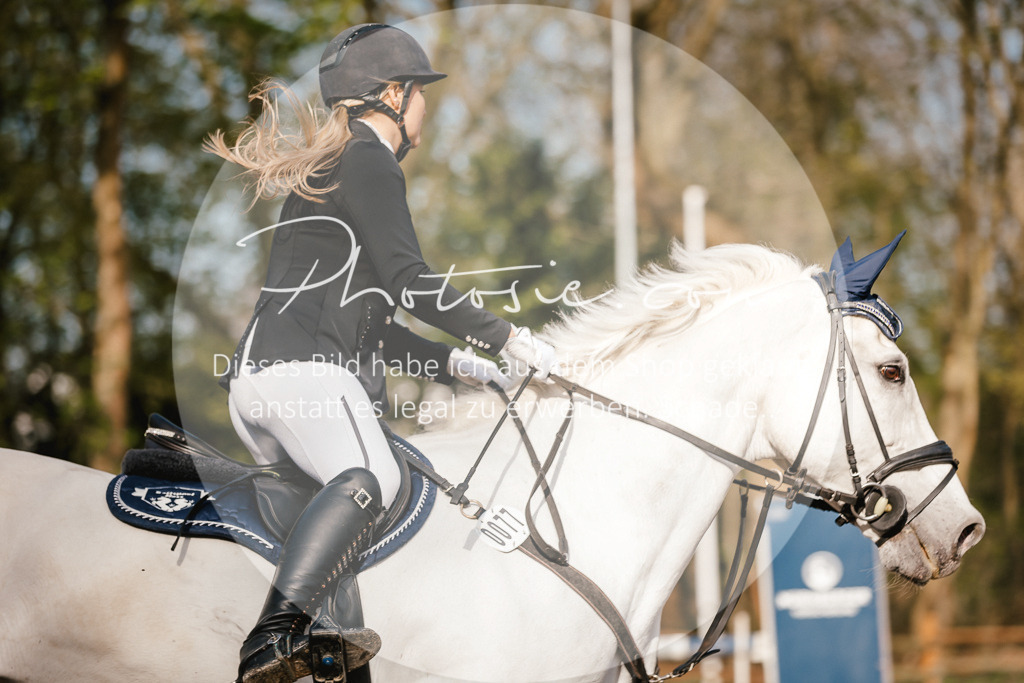3I6A3516 | Stimmungsvolle Portraits und Reitsportfotografie im Ruhrgebiet und im Münsterland.

Pferdefotografie, Hundefotografie, Tierfotografie, Reportagen, Portraits von Tier und Mensch, Turnierfotografie in Bochum, Recklinghausen, Marl, Haltern am See, Dülmen.. - Realisiert mit Pictrs.com
