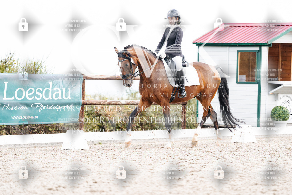 CK900987 | Turnierfotografie Pferdefotografie Trier Rheinland-Pfalz Pferdesport Reitsport Tierfotografie Sportfotografie Pferdevideo Pferdevideografie Equestrianvideography equestrianphotography  - Realisiert mit Pictrs.com