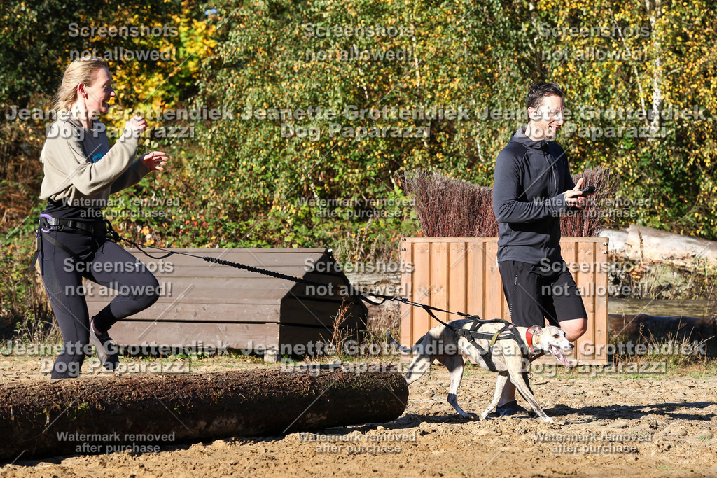 Dog Paparazzi - Strongdog 10-25-1500 | Dog Paparazzi Jeanette Grottendiek Fotografie & Videografie - Realisiert mit Pictrs.com