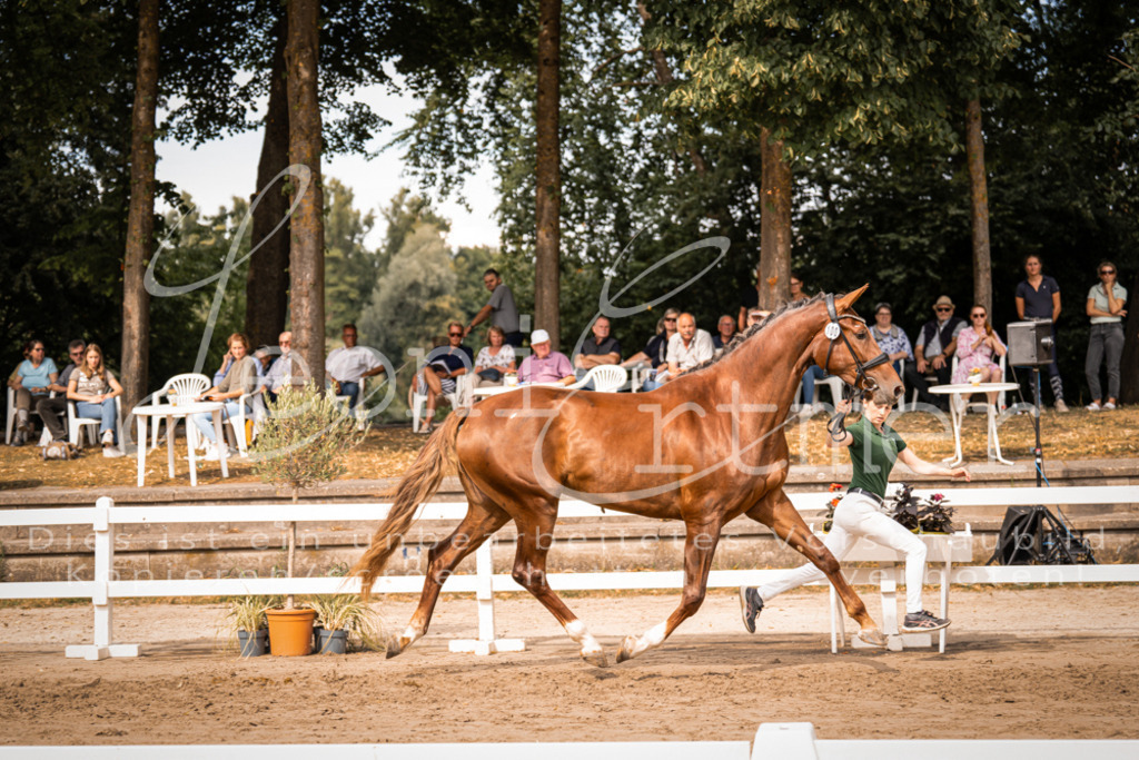 7.Fr00073 | Leoni Ertmer Photography - Realisiert mit Pictrs.com