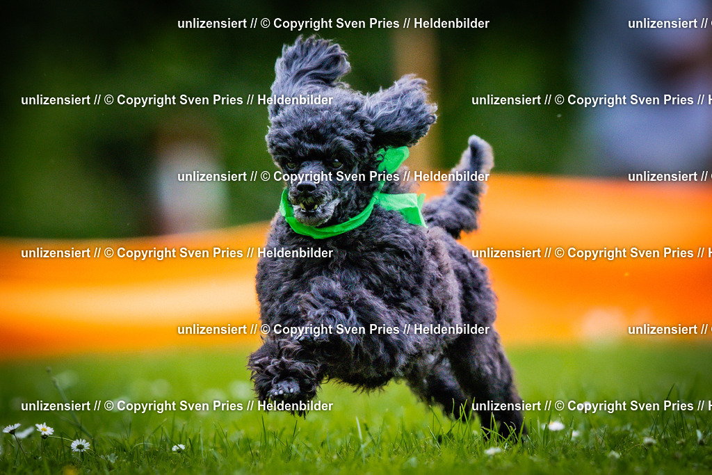 Sven Pries | 2025-05-29 - Pudelrennen KA-Durlach - Realisiert mit Pictrs.com