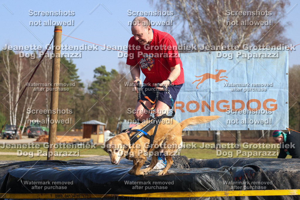 Dog Paparazzi - Strongdog North Mrz26-2607 | Dog Paparazzi Jeanette Grottendiek Fotografie & Videografie - Realisiert mit Pictrs.com
