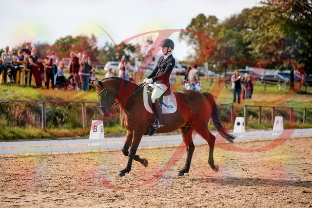 2026_10_03_Siefer-Hof_131001_Z63_72069462 | Professionelle Reitsport-, Turnier- und Eventfotografie von Robert Broda. Galerien mit ausgewählten und bearbeiteten Bildern direkt online ansehen und bestellen.
