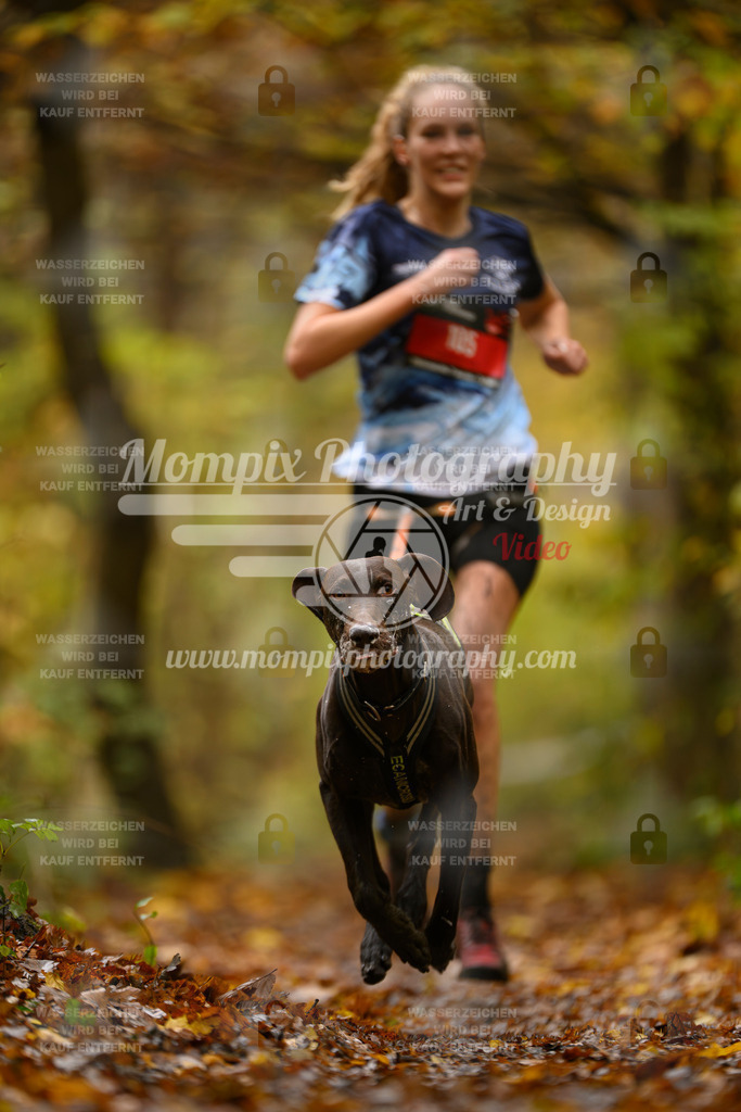 MompixPhotography_CD7S_DI_CCL-16 | mompixphotography