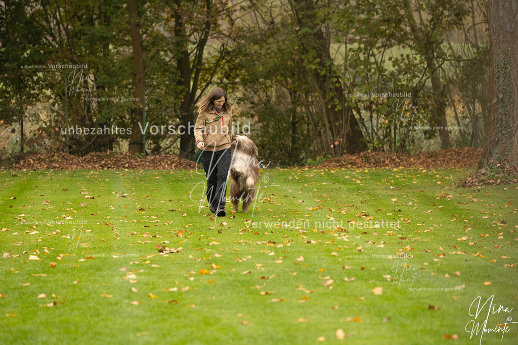 _16A0518 | Einzigartige Fotos von Hunden & Menschen –Actionfotos, Portraits, Vereinsaufnahmen & Paarshootings – authentisch, lebendig & mit Herz.