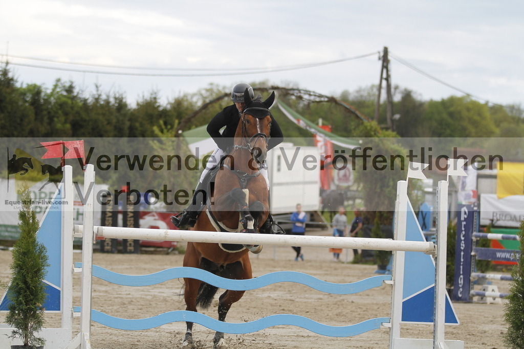 _MG_8428 | equestrian-live-com