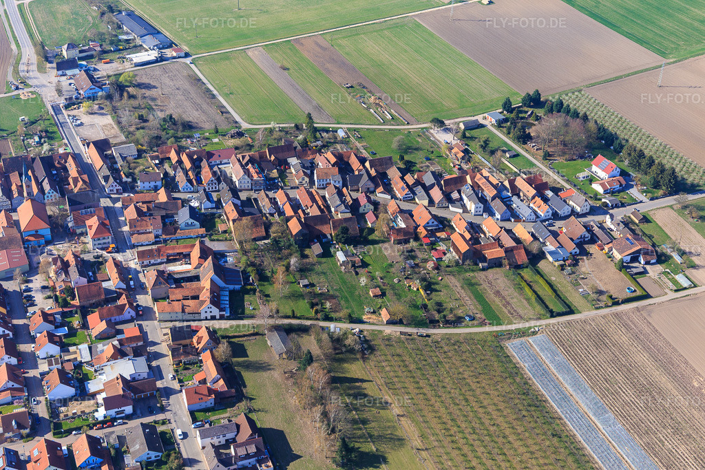 Luftbild: Hauptstr in Erlenbach bei Kandel im Bundesland Rheinland-Pfalz in Deutschland. Foto: IMG_113322.jpg vom 30.03.2019 durch Werner Riehm/FLY-FOTO.de