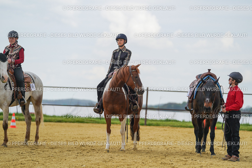 DSC06345 | Pferdegrafie