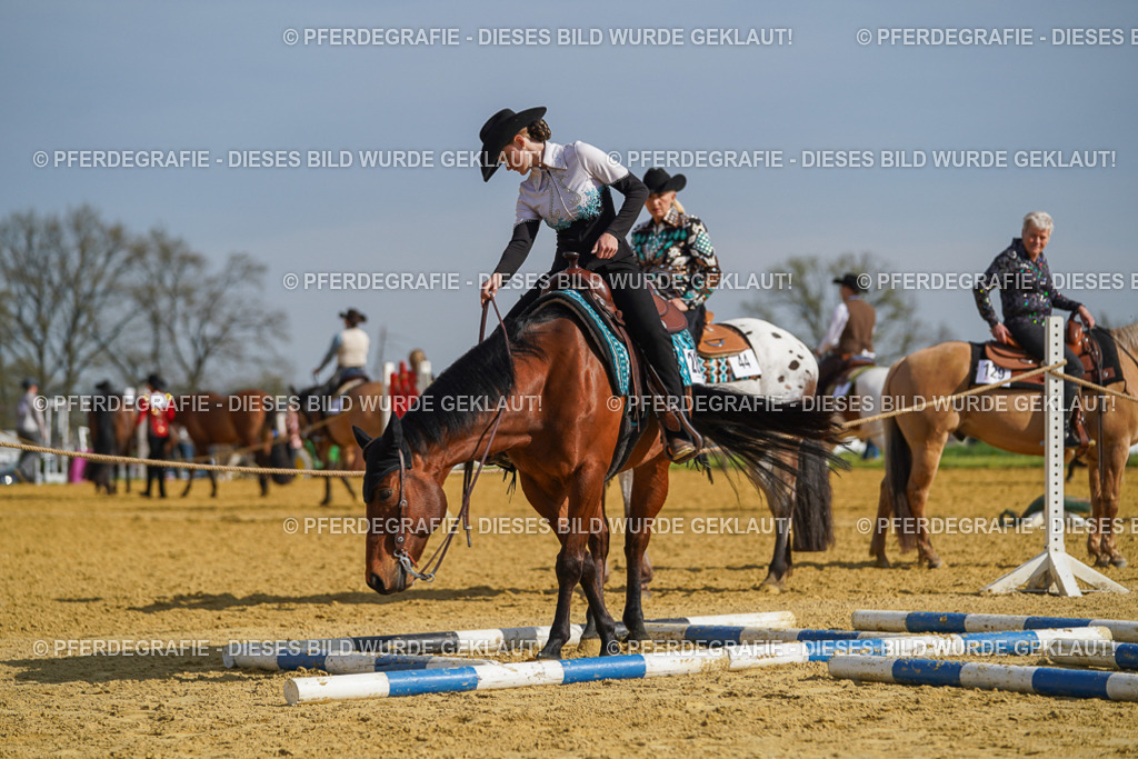 DSC01189 | Pferdegrafie