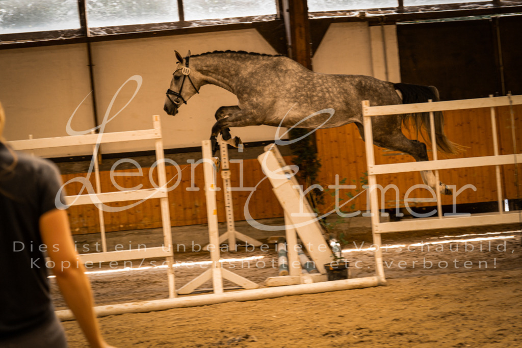 FrFS00008 | Leoni Ertmer Photography - Realisiert mit Pictrs.com