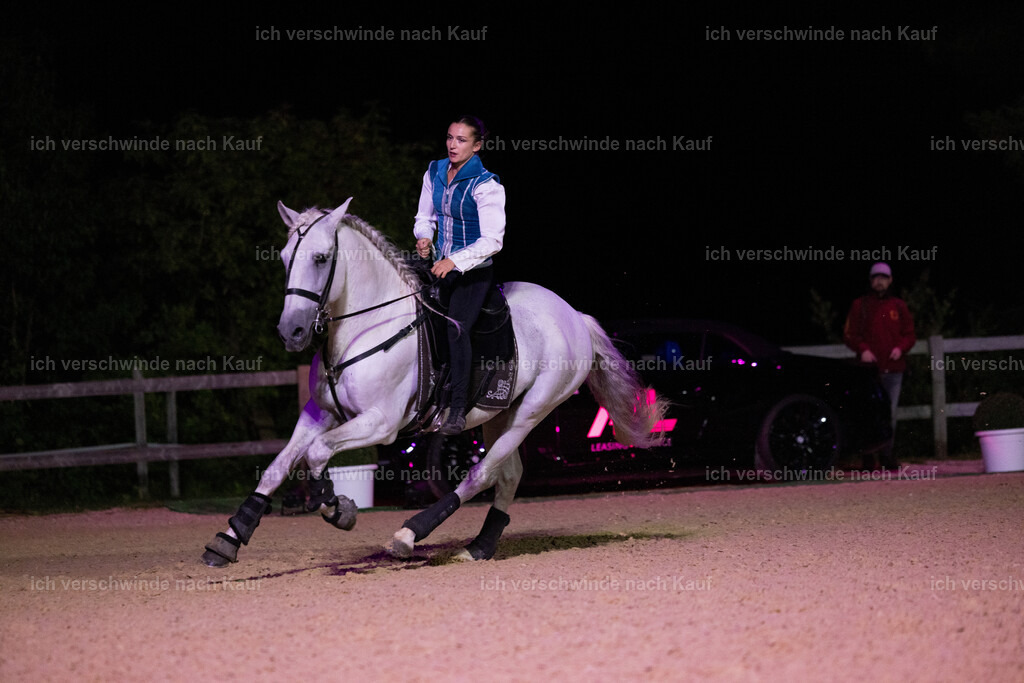 Gala-578 | working equitationturnier fotograf videograf stoibphotography marixx film working equitation deutschland reitsport turnierfotografie eventfotografie equestrian events
