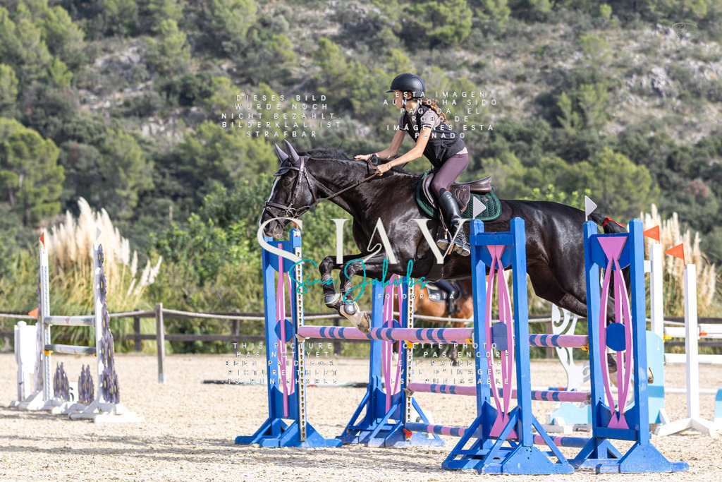 IMG_3816 | s-jay-photography - Realisiert mit Pictrs.com