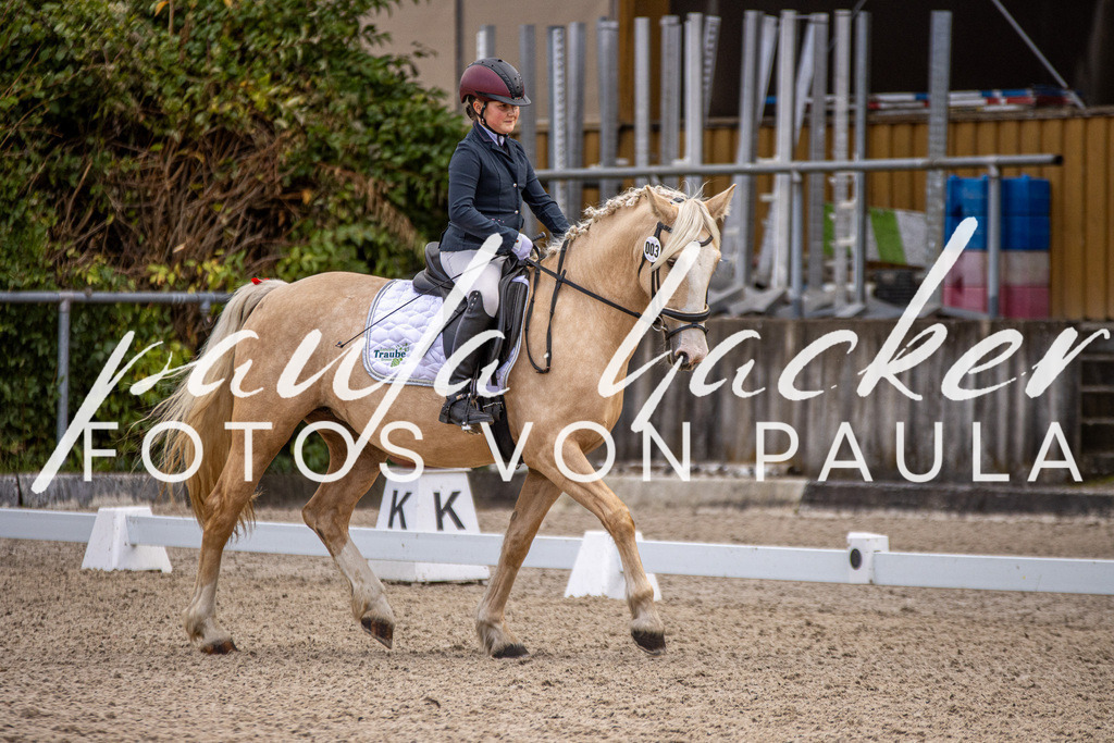 IMG_3517 | Erleben Sie dynamische Sport- und emotionale Tierfotografie in Süddeutschland mit Fotos von Paula. Spezialisiert auf Pferde- und Hundefotografie sowie Sportevents. Kontaktieren Sie mich für einzigartige und ausdrucksstarke Bilder Ihrer besonderen Momente.