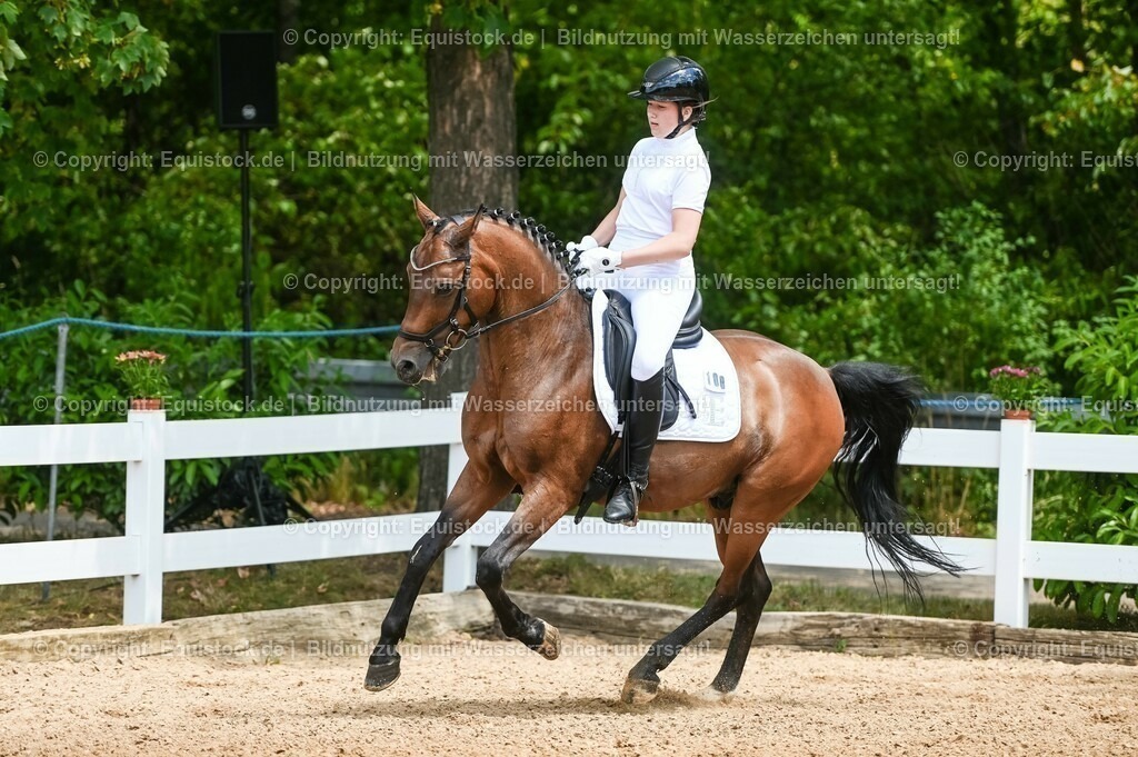 20230715_05_Dressurprüfung Kl.A++_0042 | equistock