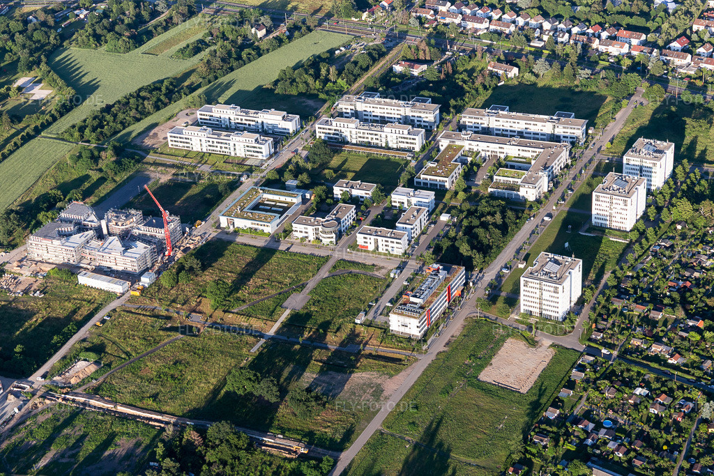 Luftbild: Technologiepark im Ortsteil Rintheim in Karlsruhe im Bundesland Baden-Württemberg in Deutschland. Foto: IMG_115188.jpg vom 13.06.2019 durch Werner Riehm/FLY-FOTO.de