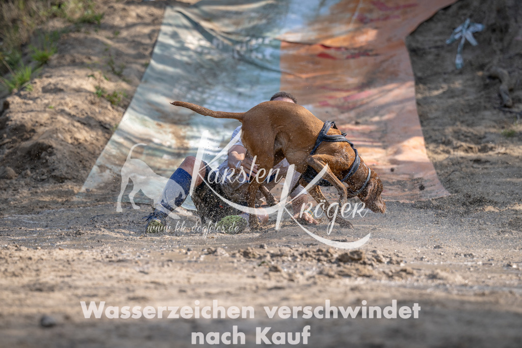 0941_ZZ95999 | kk-dogfotos