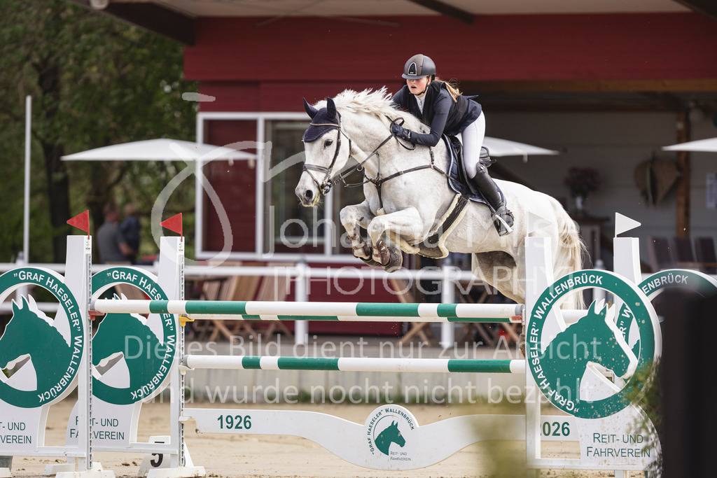 260503_Spenge_7_M2-Spr-m-steig-Anf-713 | Deine schönsten Turniermomente als professionelle Fotos! Entdecke hochwertige Pferdesport-Fotografie im Online-Shop. Jetzt Fotos finden & bestellen!