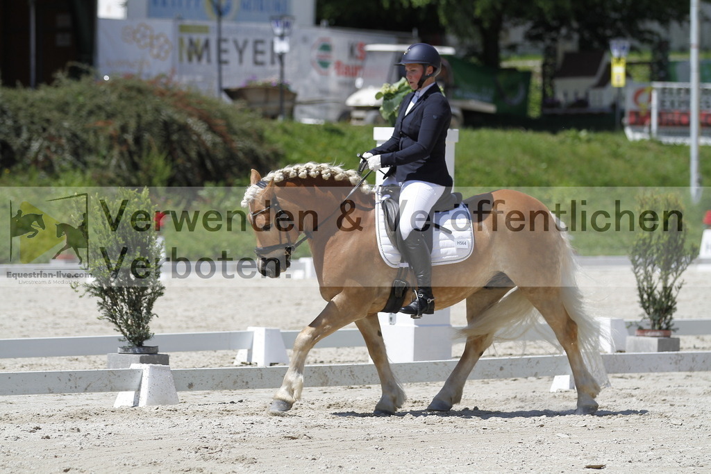 _MG_5313 | equestrian-live-com