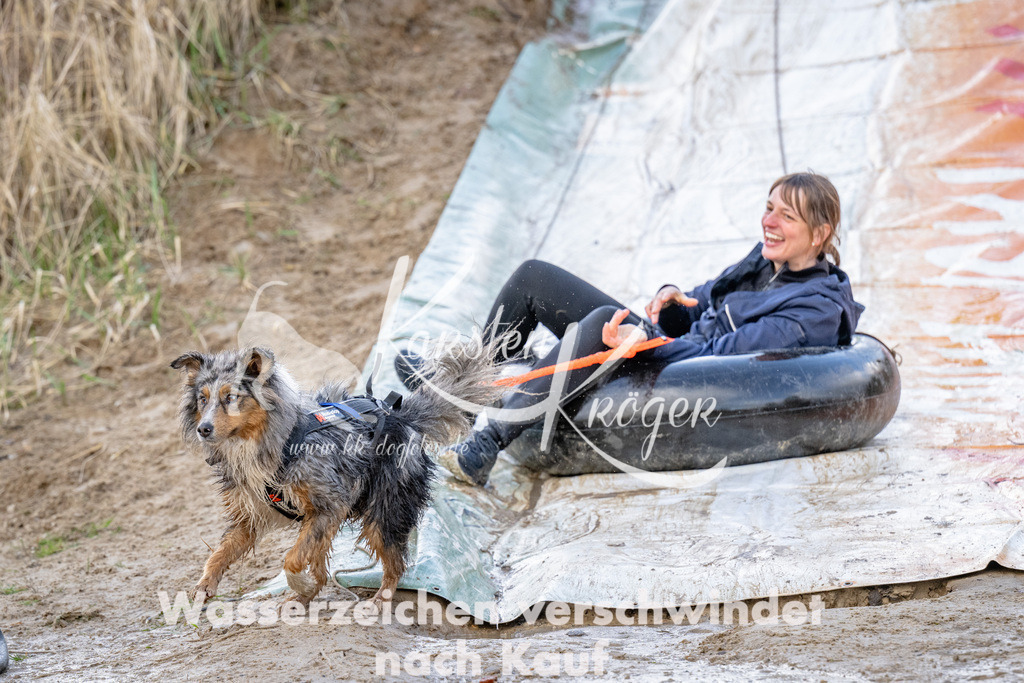 1708_ZZ91166 | kk-dogfotos