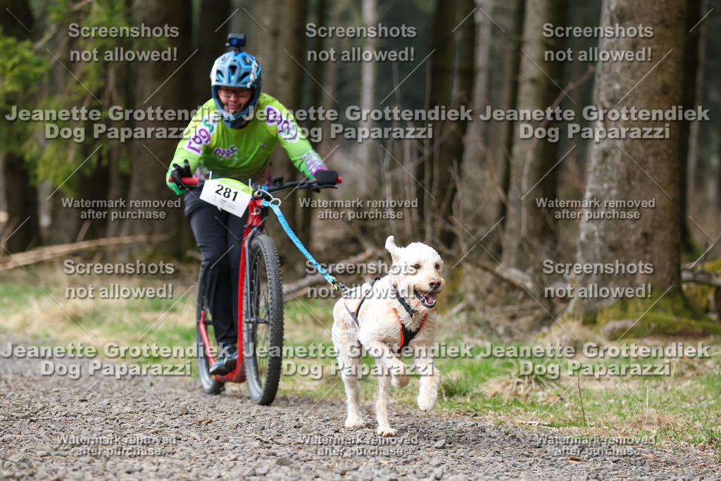 Dog Paparazzi - VCC26-517 | Dog Paparazzi Jeanette Grottendiek Fotografie & Videografie - Realisiert mit Pictrs.com