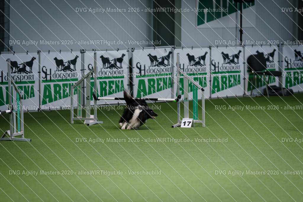 allesWIRTHgut_Tierfotografie-DVG_Agility_Masters_2026-09_38-7R509543 | Professionelle Tierfotografie in Mönchengladbach von Daniel Wirth (allesWIRTHgut). Liebevolle & natürliche Bilder von Hunden & Katzen für unvergessliche Erinnerungen.