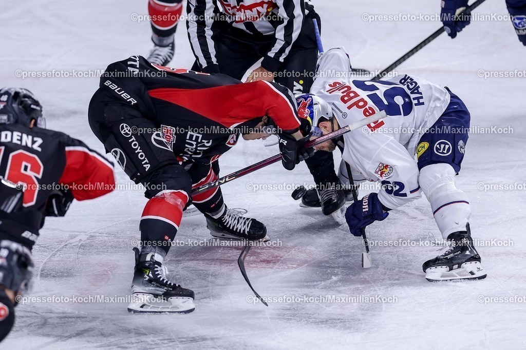 KEC28012501042 | 28.01.2025, Eishockey, DEL, Kölner Haie - EHC Red Bull München, Spieltag 41, Lanxess-Arena Köln: Beim Zweikampf um den Bully (Louis-Marc Aubry (Kölner Haie #15) gegen Patrick Hager (EHC München #52)) bricht der Schläger von (Louis-Marc Aubry (Kölner Haie #15)  in Zwei Hälften auseinander
