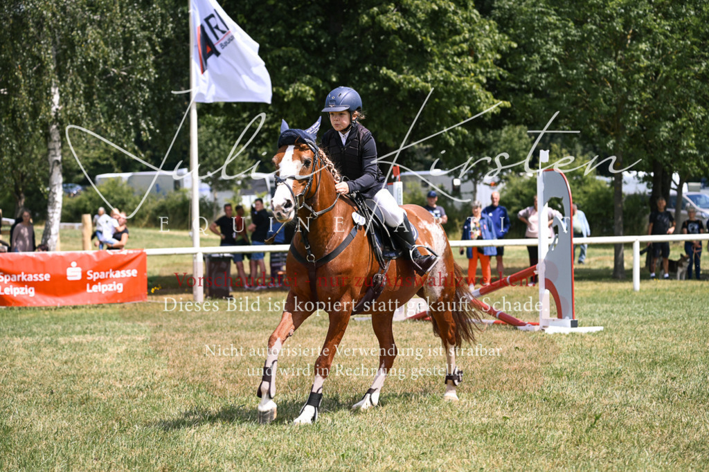 DSC_9213 | Pferde- und Turnierfotografie in Westsachsen. Pferdeportraits, Auftragszeichnungen und intuitive Kunst.
